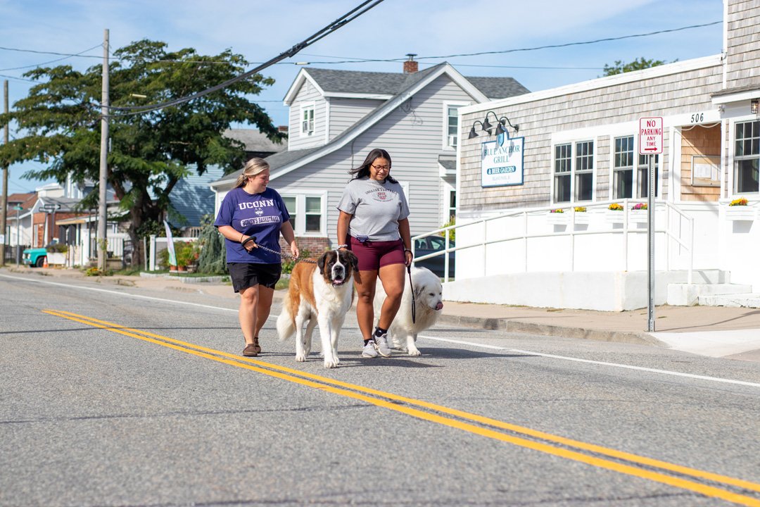 Sakonnet Coastal Bike & Stroll 2026, IMG_1823.jpg